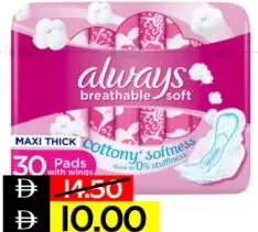 Always Sanitary Pad Cot Soft Maxi Large