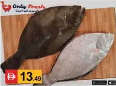سمك هاليبوت (Ayiram Palli)