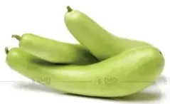 يقطين طويل أخضر أو أبيض، بالكيلو، الهند