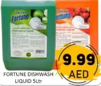 Fortune سائل غسيل الأطباق