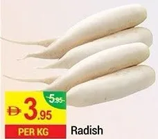 فجل