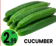 Cucumber