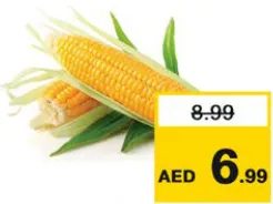 Sweet Corn