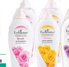 Enchanteur Body Lotion Assorted