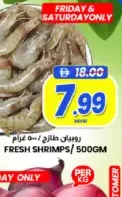 Fresh Shrimps
