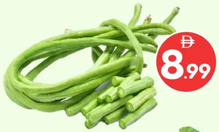 Long Beans – Oman