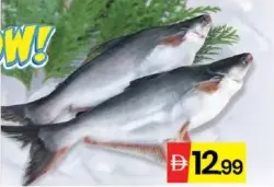 Pangush Fish Fresh