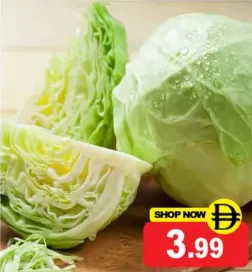 Cabbage