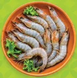 Prawns