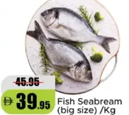 Fish Seabream (big size)