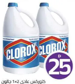 Clorox Regular