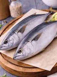 Tuna Fish