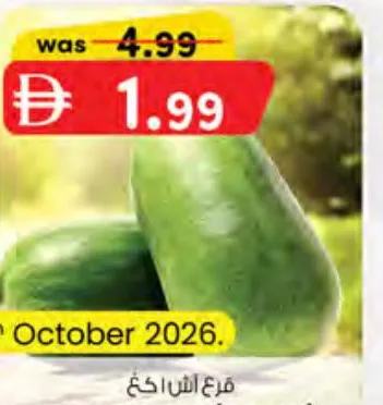 Ash Gourd