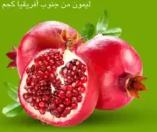 Pomegranate Yemen