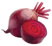 شمندر