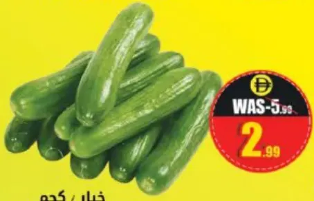 Cucumber