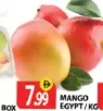 Mango Egypt