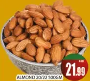 لوز 20-22