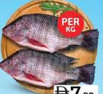 سمك البلطي طازج