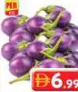 Egg Plant (Gujjarati)