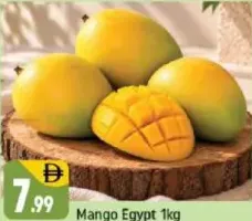 Mango Egypt