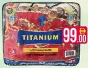 Titanium 2 Ply Double Blanket
