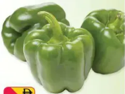 فلفل رومي أخضر