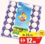 Halal White Egg