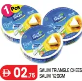 Salim جبنة ديلايت المثلثة
