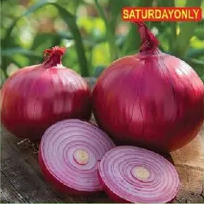 بصل هندي