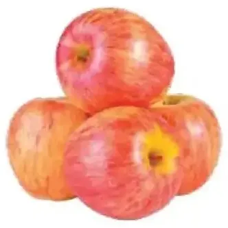 Royal Gala Apple (France)