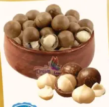 Dream Land Macadamia