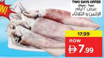 Squid Fresh Big