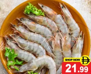 Shrimps