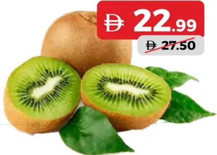 Kiwi New Zealand