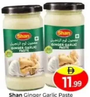 Shan معجون الزنجبيل والثوم - 2 x
