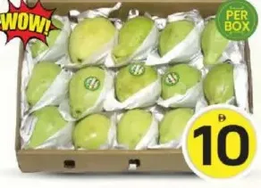 Guava Egypt Box