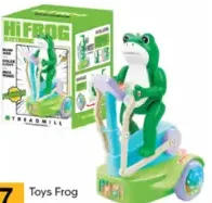 Toys Frog