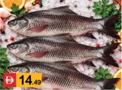 Rohu Frozen Fish 2Up