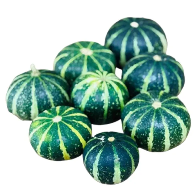 Carrefour Flatt Striped Pumpkin