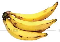 Banana Yellow Plantain