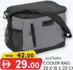 حقيبة تبريد