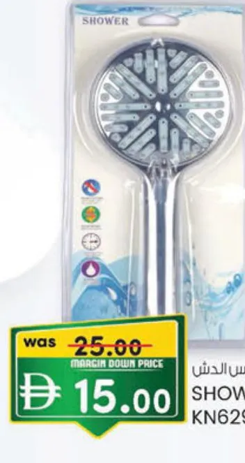 Shower Head Kn6290