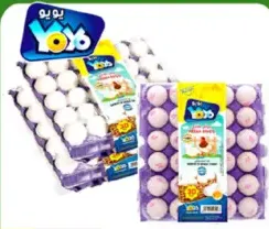 Yoyo Eggs Large