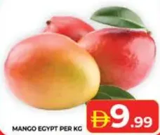 Mango Egypt