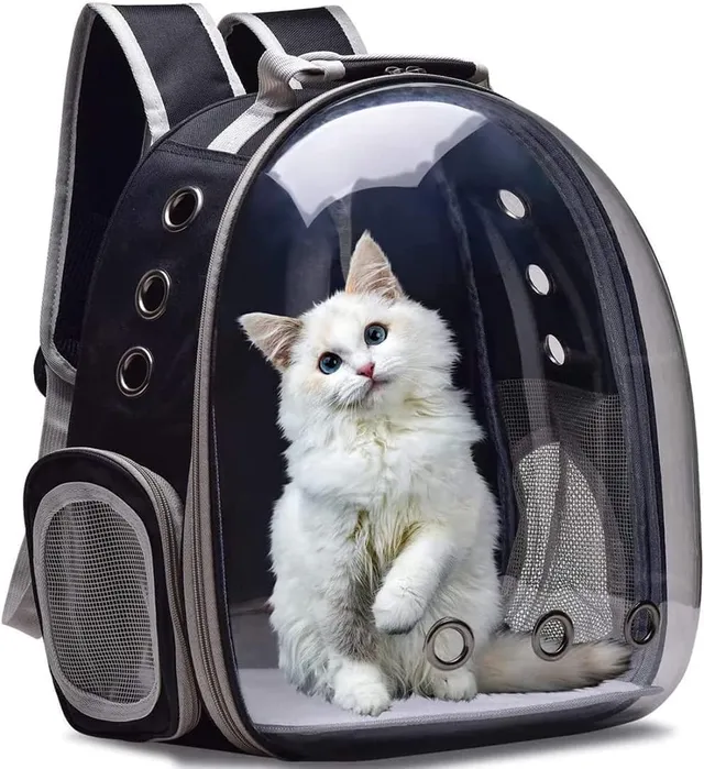 blooming time Transparent Pet Travel Backpack - Comfortable Outdoor Hiking Carrier for Small Cats and Dogs