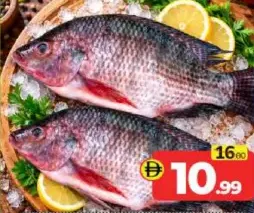 Thilapia Fish