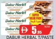 Dabur Herbal T/Paste Clove