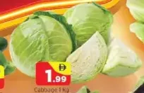 Cabbage