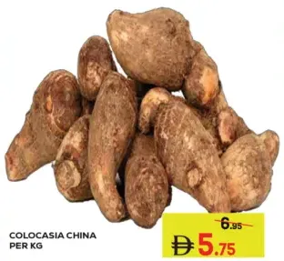Colocasia China